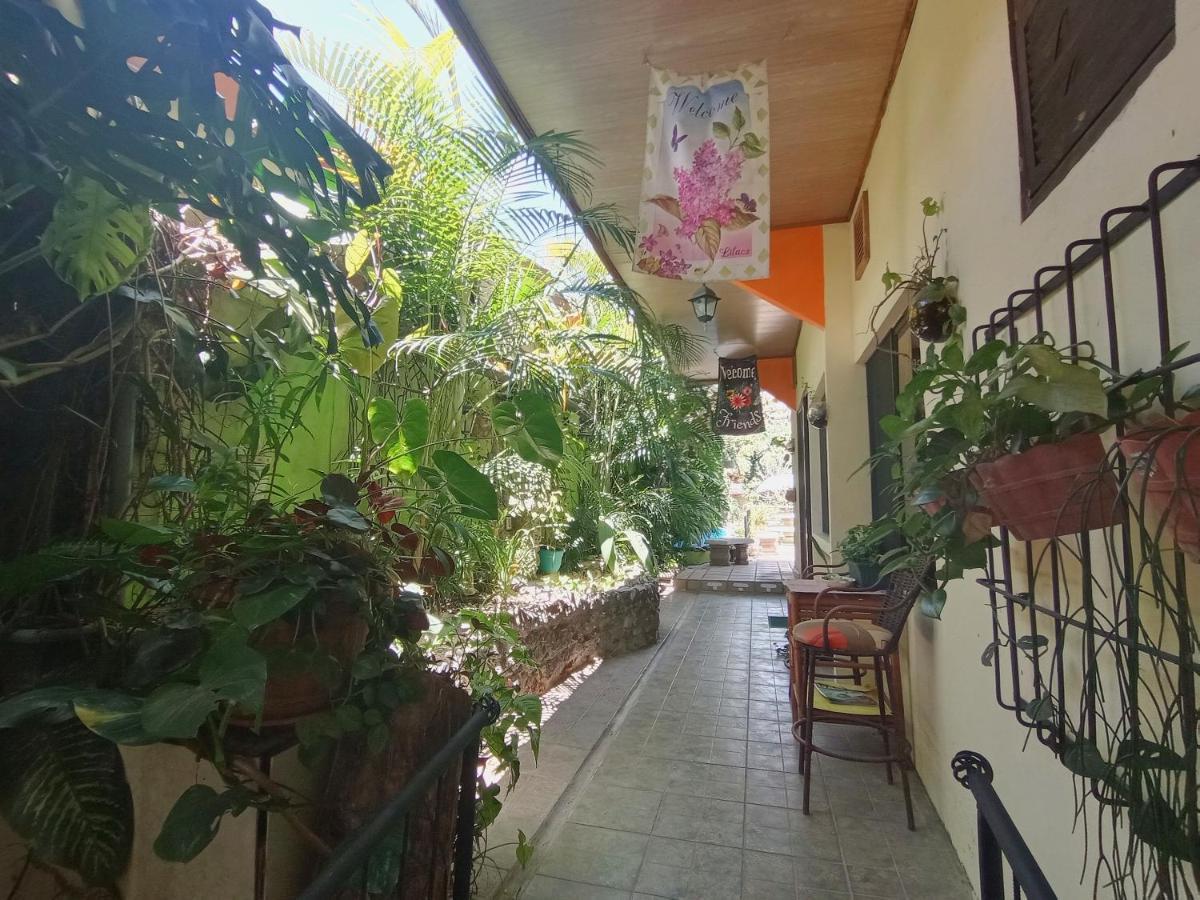 Nirvana Apartament Hostal Río Segundo 외부 사진