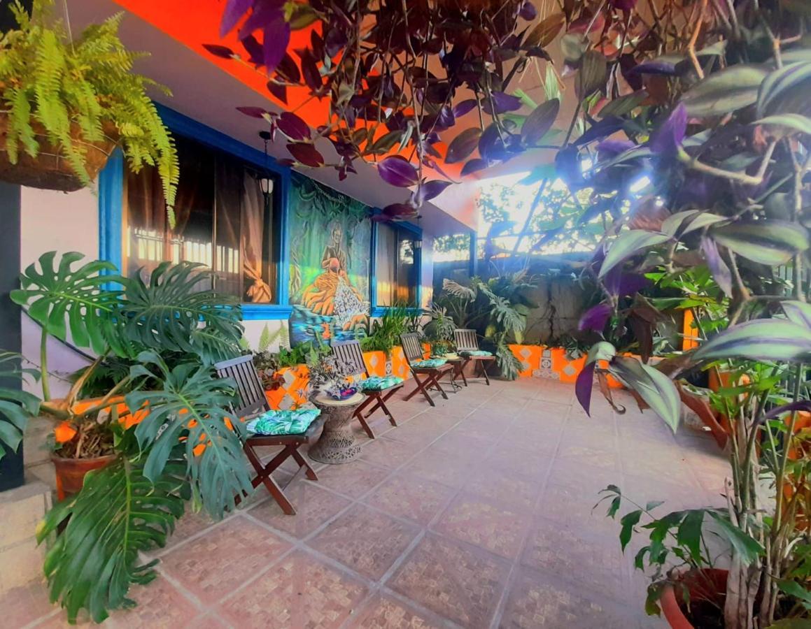 Nirvana Apartament Hostal Río Segundo 외부 사진